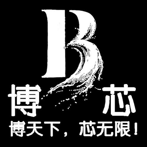 洞察科技脈搏，賦能企業未來——山東博芯信息科技信息咨詢服務解析